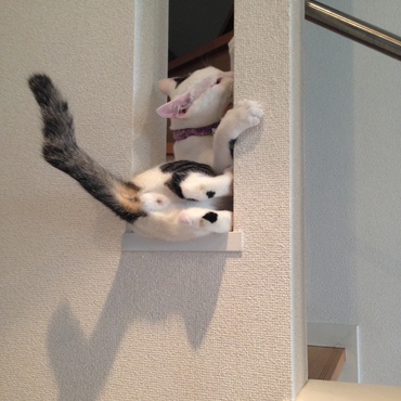 お尻が丸見えですよ！
