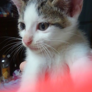 ありがとうございました！