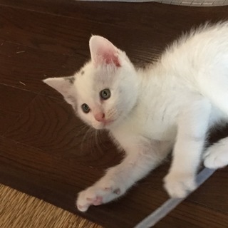 7月13日生まれの♂ 