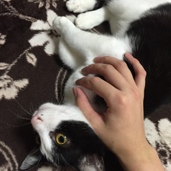 少しずつ。