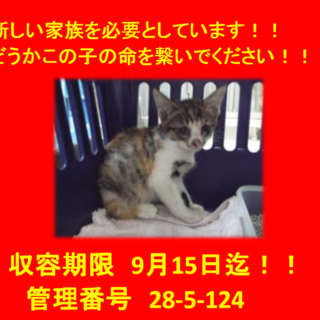 里親決定！！お迎えありがとうございました(^^♪