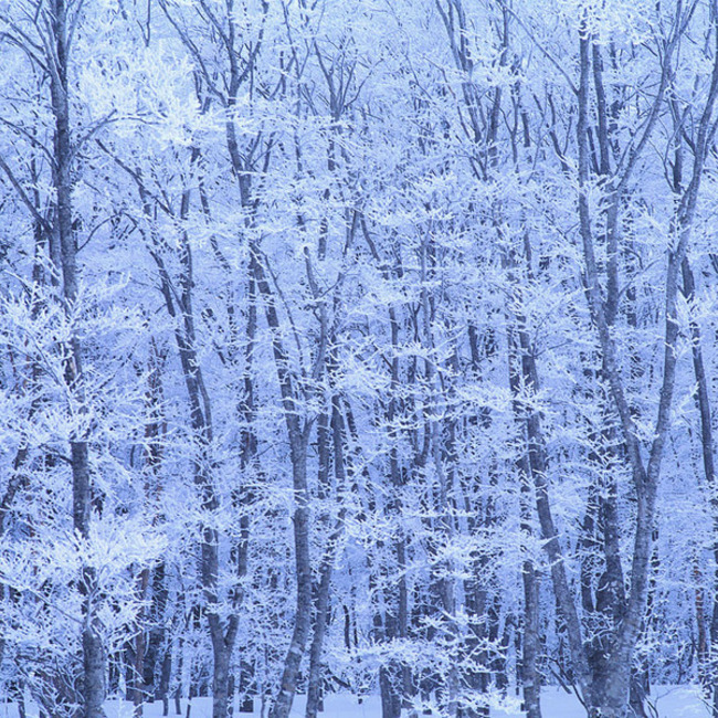 moonzoejv115のカバー写真