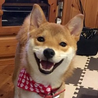 ゆず