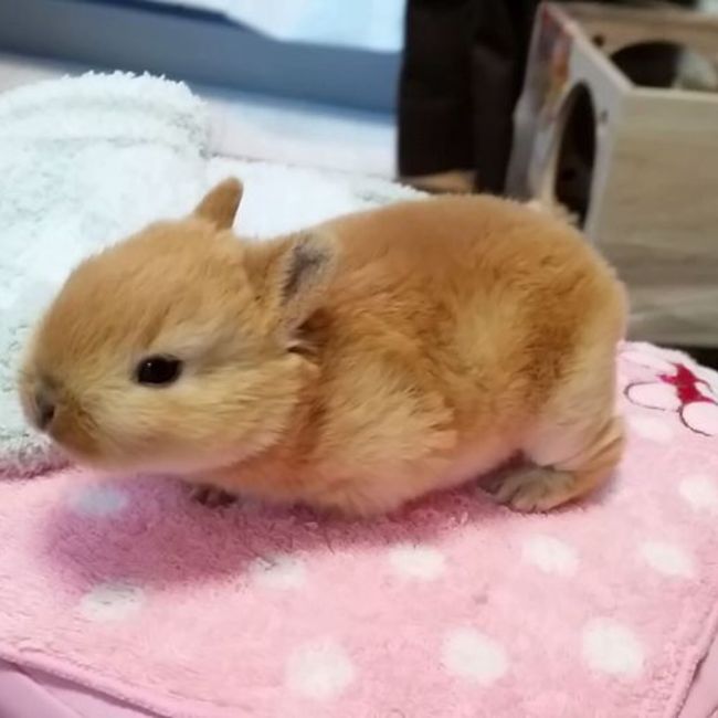 ななみん0x0のカバー写真