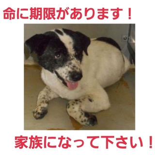 ありがとうございます!!