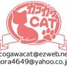 カコガワcat（保護活動者）