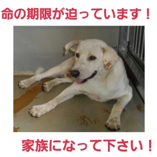 ありがとうございます!!