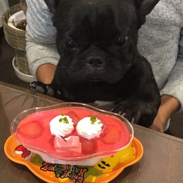 2歳誕生日のお祝い☆