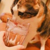  さん