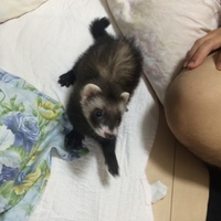 くぅ太郎