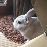 ゆき