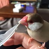なつっちちゃん