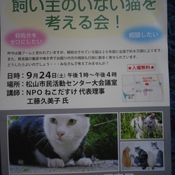 飼い主のいない猫を考える会！