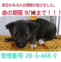家族が出来ました！
