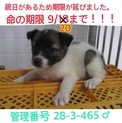 家族ができました！