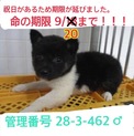 家族が出来ました！