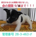 家族ができました！
