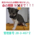 家族ができました！！