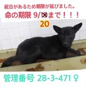 家族が出来ました！！