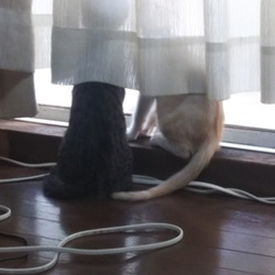 ２回目の予防接種が終わりました‼