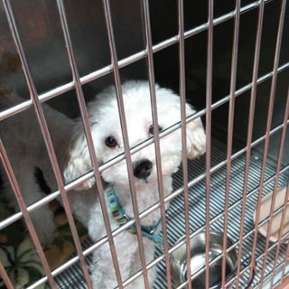 元気な男のい子です！