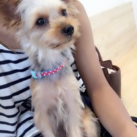 むぎ