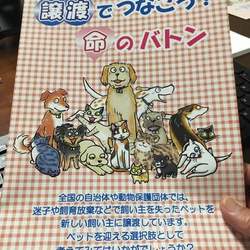 譲渡でつなごう！命のバトン