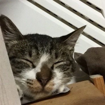 ぐっすり。