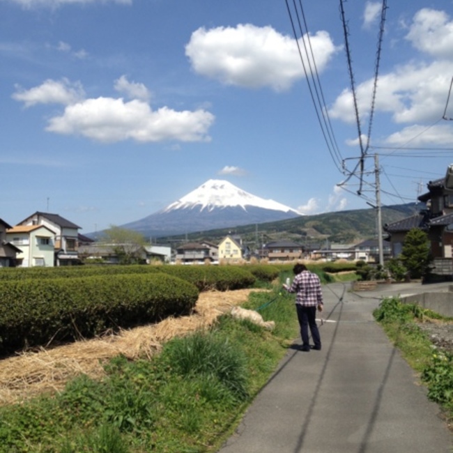 かいこーのカバー写真