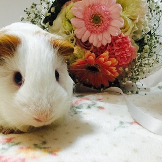 ありがとうございました!!