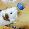 ありがとうございました!! サムネイル2