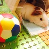 ありがとうございました!! サムネイル3