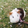 ありがとうございました!! サムネイル6