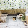ありがとうございました!! サムネイル7