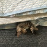 の写真