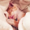 みなかた