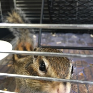 沢山のご応募ありがとうございました。