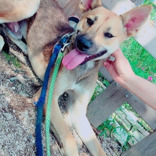 イケメンなれんくん