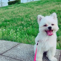 もなか