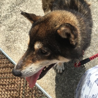 たすけてください