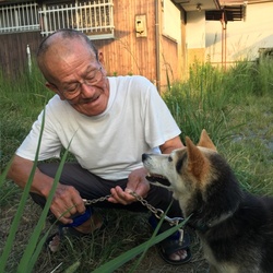 「‼️急募‼️近所のおじいちゃんの愛犬の里親さん‼️」サムネイル2