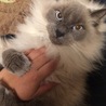 の写真