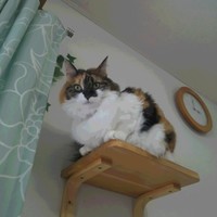 マーブル