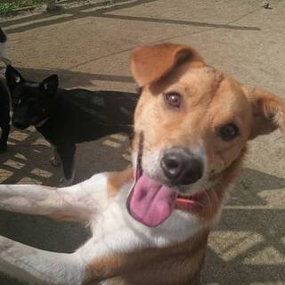 甘えん坊ムネリン