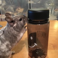 ミー
