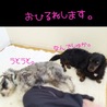 りく＆そら