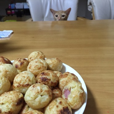 作りすぎたタコ焼き。ハイエナに狙われてます！