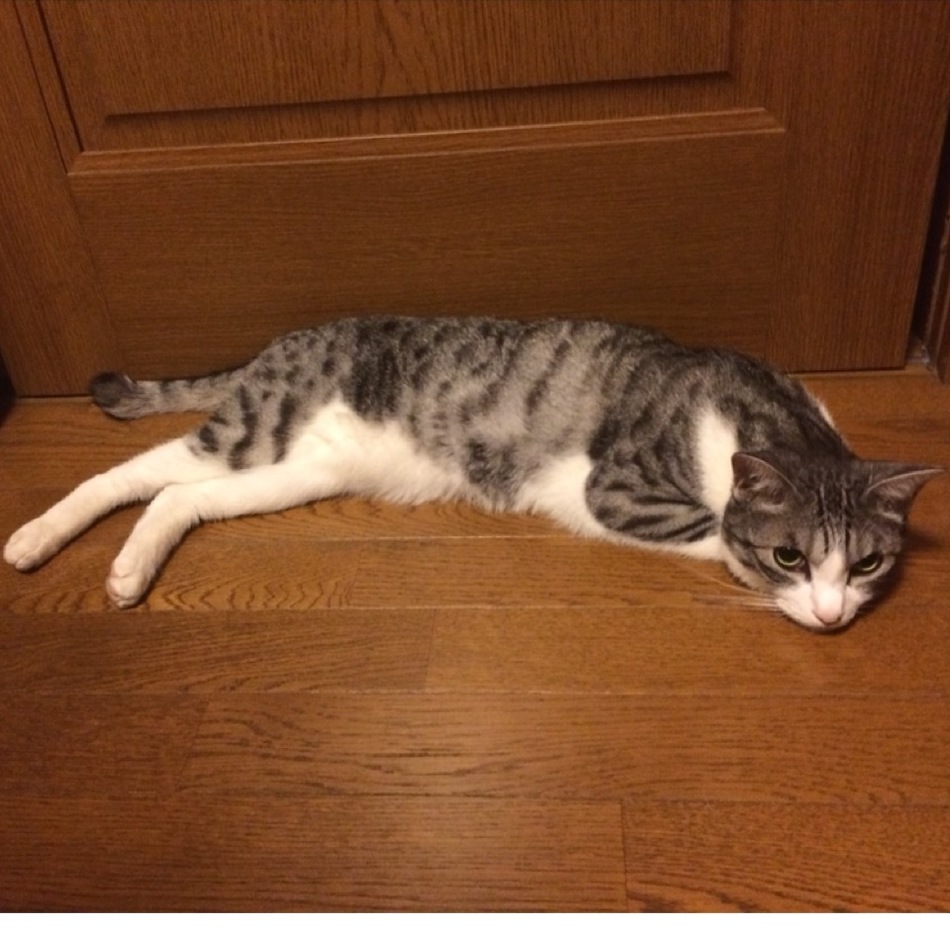 ジェイのカバー写真