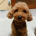 たくさんの応募ありがとうございました。