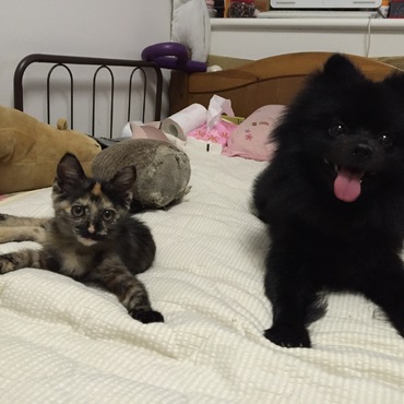 保護した子猫との2ショット
